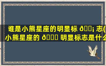 谁是小熊星座的明显标 🐡 志(小熊星座的 🐅 明显标志是什么)